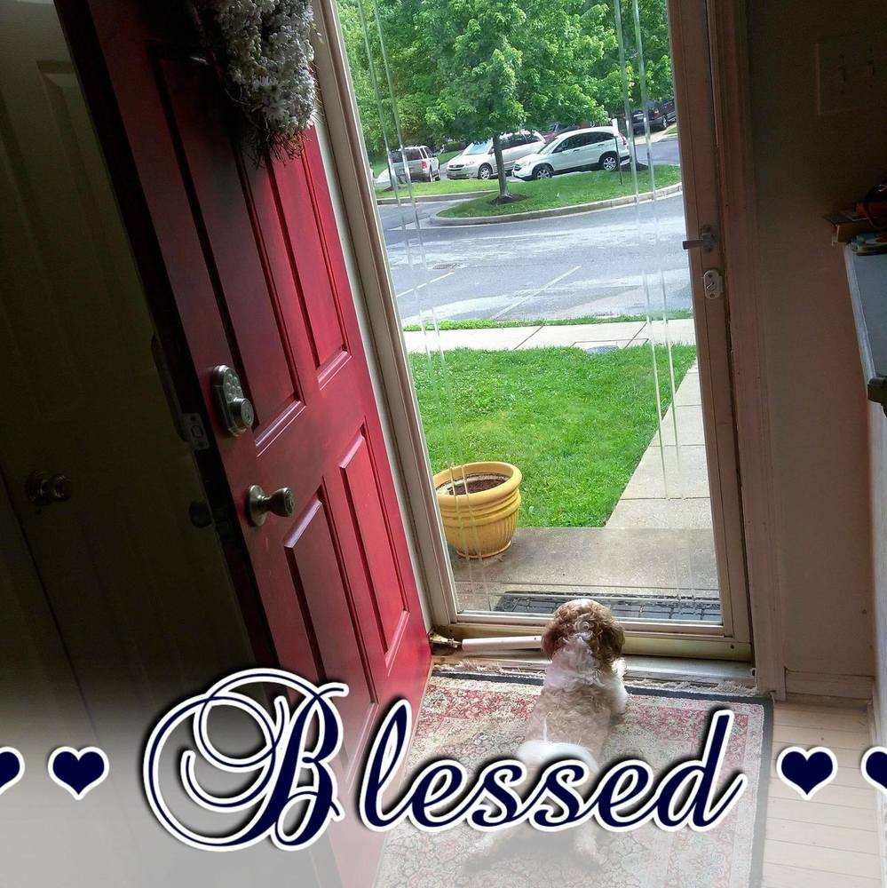 Meet your Posher, Chloe